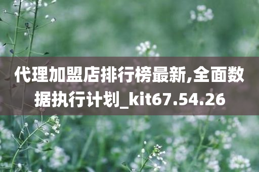 代理加盟店排行榜最新,全面数据执行计划_kit67.54.26