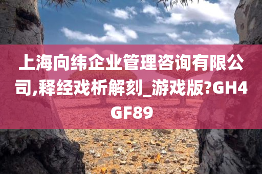 上海向纬企业管理咨询有限公司,释经戏析解刻_游戏版?GH4GF89