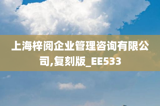 上海梓阅企业管理咨询有限公司,复刻版_EE533