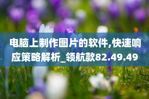 电脑上制作图片的软件,快速响应策略解析_领航款82.49.49