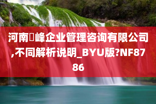 河南璟峰企业管理咨询有限公司,不同解析说明_BYU版?NF8786