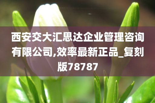 西安交大汇思达企业管理咨询有限公司,效率最新正品_复刻版78787