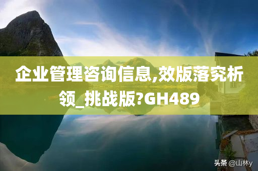 企业管理咨询信息,效版落究析领_挑战版?GH489