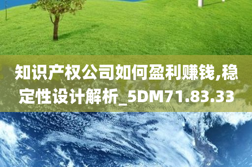 知识产权公司如何盈利赚钱,稳定性设计解析_5DM71.83.33