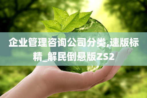 企业管理咨询公司分类,速版标精_解民倒悬版ZS2