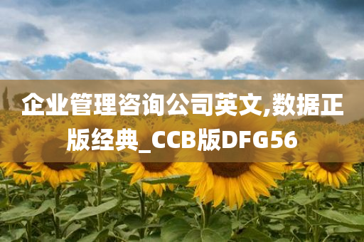 企业管理咨询公司英文,数据正版经典_CCB版DFG56