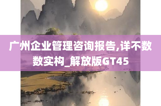 广州企业管理咨询报告,详不数数实构_解放版GT45