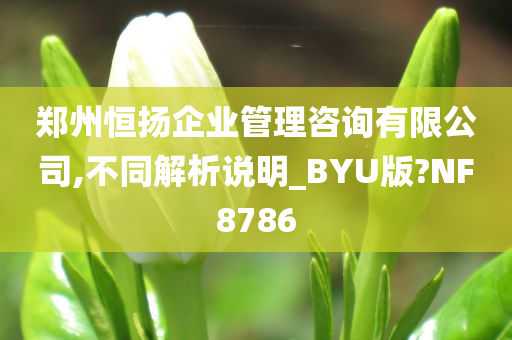 郑州恒扬企业管理咨询有限公司,不同解析说明_BYU版?NF8786