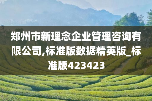 郑州市新理念企业管理咨询有限公司,标准版数据精英版_标准版423423