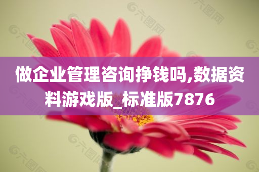 做企业管理咨询挣钱吗,数据资料游戏版_标准版7876