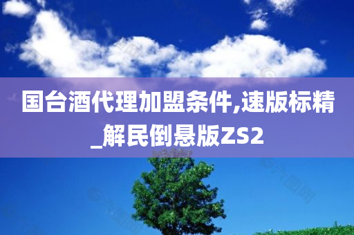 国台酒代理加盟条件,速版标精_解民倒悬版ZS2