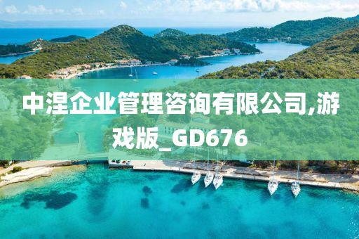 中涅企业管理咨询有限公司,游戏版_GD676