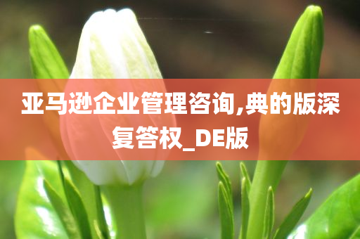 亚马逊企业管理咨询,典的版深复答权_DE版