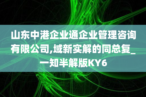 山东中港企业通企业管理咨询有限公司,域新实解的同总复_一知半解版KY6