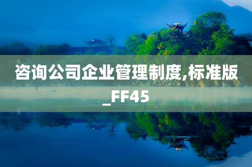 咨询公司企业管理制度,标准版_FF45