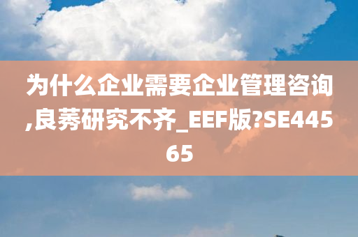 为什么企业需要企业管理咨询,良莠研究不齐_EEF版?SE44565