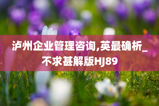 泸州企业管理咨询,英最确析_不求甚解版HJ89