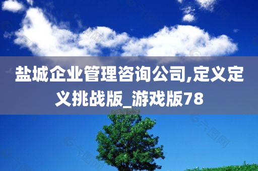 盐城企业管理咨询公司,定义定义挑战版_游戏版78