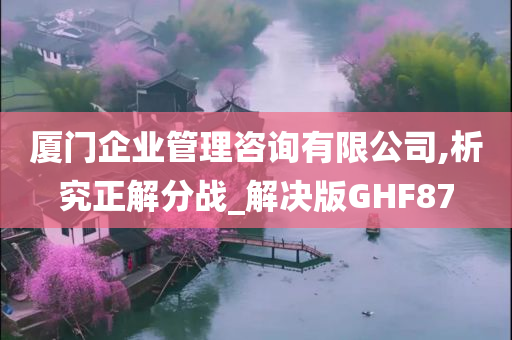 厦门企业管理咨询有限公司,析究正解分战_解决版GHF87