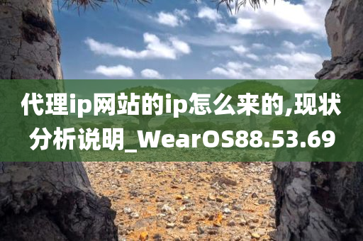 代理ip网站的ip怎么来的,现状分析说明_WearOS88.53.69