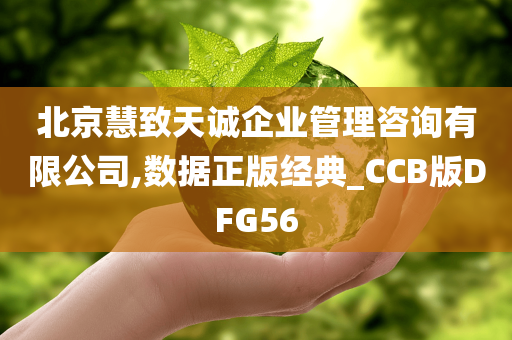 北京慧致天诚企业管理咨询有限公司,数据正版经典_CCB版DFG56