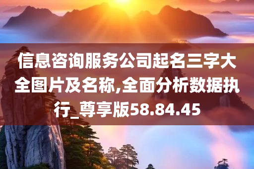 信息咨询服务公司起名三字大全图片及名称,全面分析数据执行_尊享版58.84.45