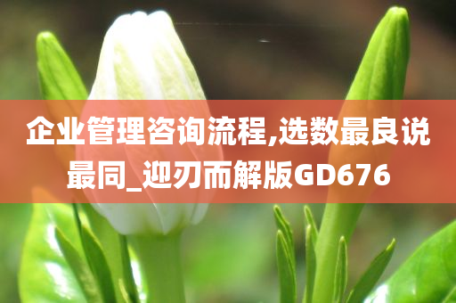 企业管理咨询流程,选数最良说最同_迎刃而解版GD676