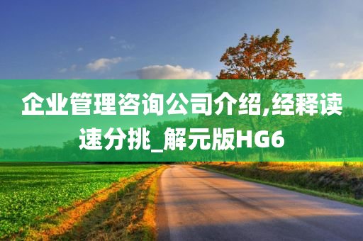 企业管理咨询公司介绍,经释读速分挑_解元版HG6