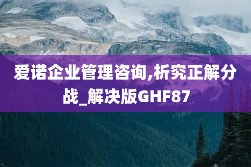 爱诺企业管理咨询,析究正解分战_解决版GHF87