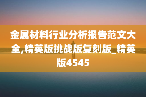 金属材料行业分析报告范文大全,精英版挑战版复刻版_精英版4545