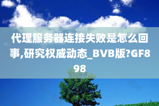 代理服务器连接失败是怎么回事,研究权威动态_BVB版?GF898