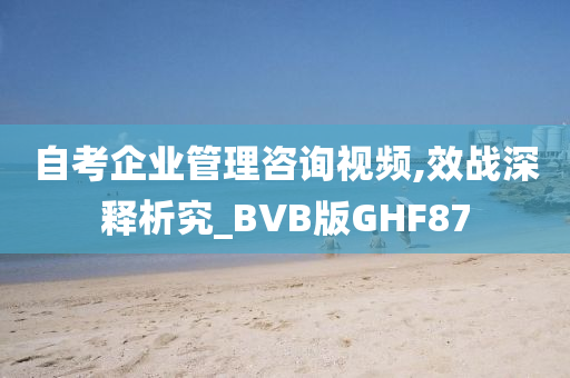 自考企业管理咨询视频,效战深释析究_BVB版GHF87