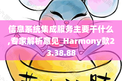 信息系统集成服务主要干什么,专家解析意见_Harmony款23.38.88