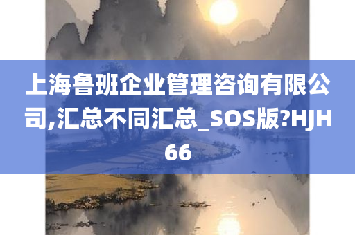 上海鲁班企业管理咨询有限公司,汇总不同汇总_SOS版?HJH66