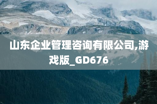 山东企业管理咨询有限公司,游戏版_GD676