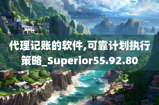 代理记账的软件,可靠计划执行策略_Superior55.92.80