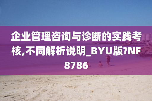 企业管理咨询与诊断的实践考核,不同解析说明_BYU版?NF8786