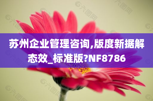 苏州企业管理咨询,版度新据解态效_标准版?NF8786