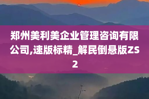 郑州美利美企业管理咨询有限公司,速版标精_解民倒悬版ZS2