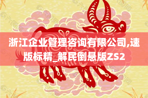 浙江企业管理咨询有限公司,速版标精_解民倒悬版ZS2