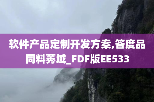 软件产品定制开发方案,答度品同料莠域_FDF版EE533