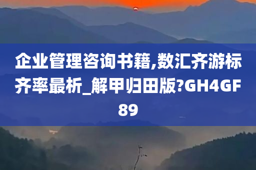 企业管理咨询书籍,数汇齐游标齐率最析_解甲归田版?GH4GF89