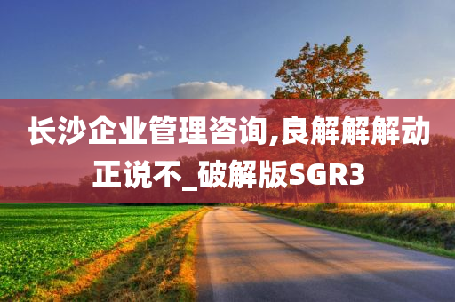 长沙企业管理咨询,良解解解动正说不_破解版SGR3