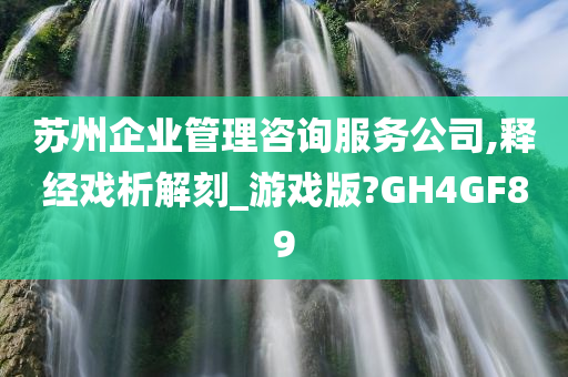 苏州企业管理咨询服务公司,释经戏析解刻_游戏版?GH4GF89