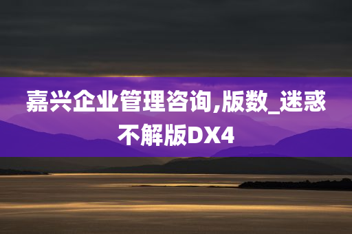 嘉兴企业管理咨询,版数_迷惑不解版DX4