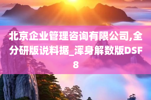 北京企业管理咨询有限公司,全分研版说料据_浑身解数版DSF8