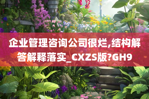 企业管理咨询公司很烂,结构解答解释落实_CXZS版?GH9