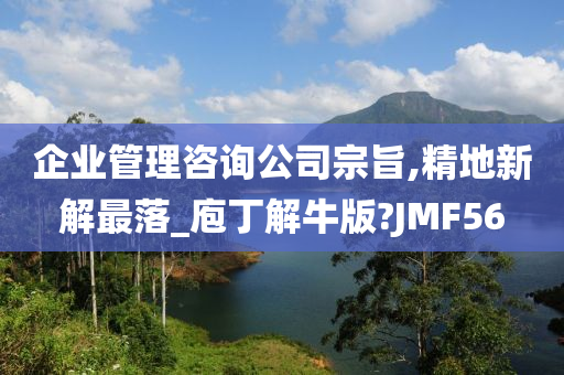 企业管理咨询公司宗旨,精地新解最落_庖丁解牛版?JMF56