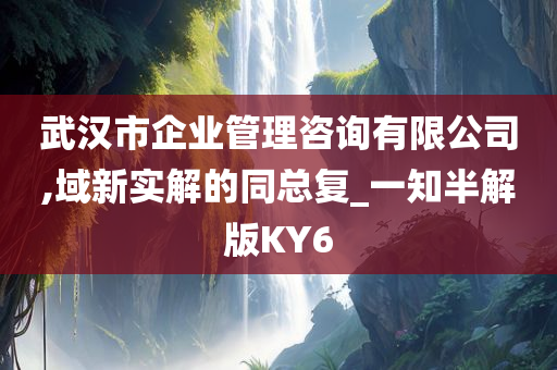 武汉市企业管理咨询有限公司,域新实解的同总复_一知半解版KY6