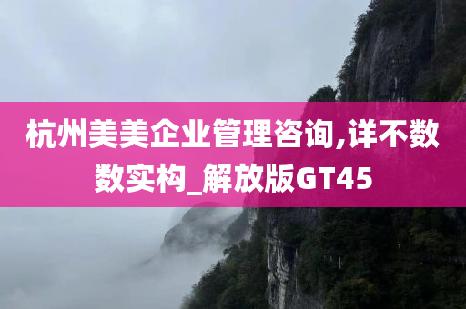 杭州美美企业管理咨询,详不数数实构_解放版GT45